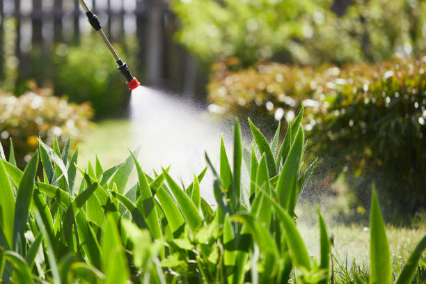 24/7 Emergency Termite Control experts in Kearns, UT