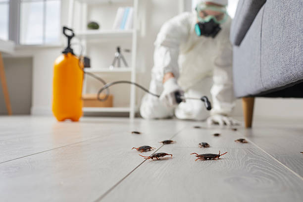 Affordable Termite Control solutions in Kearns, UT